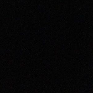 Meet your Posher, Rhiannon